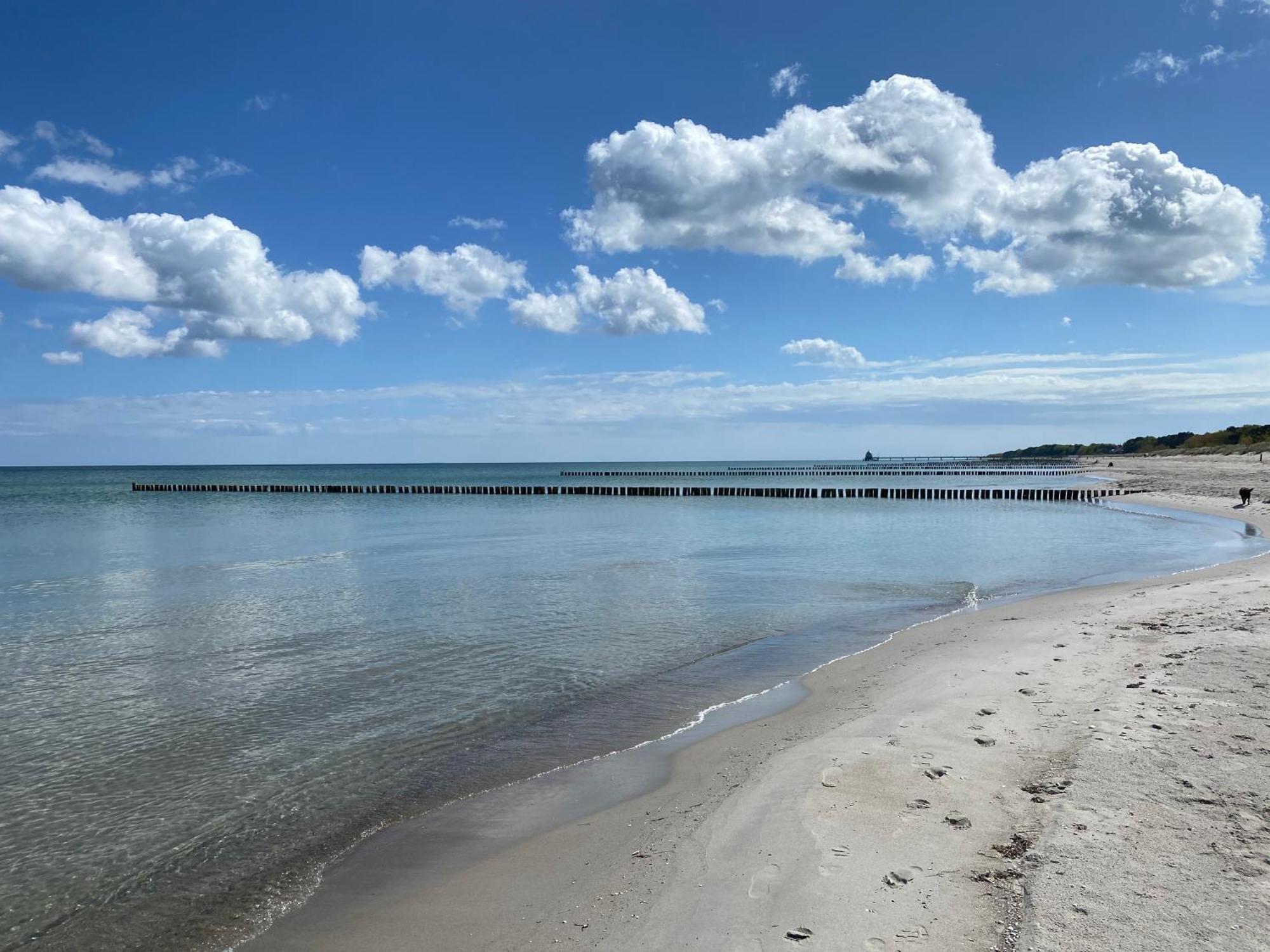 Schwalbennest Villa Zingst Eksteriør billede